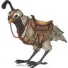 Quail_rider