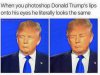 funny-trump-memes-political-2016.jpg